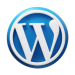 Digital Marketing Consultant in Meerut