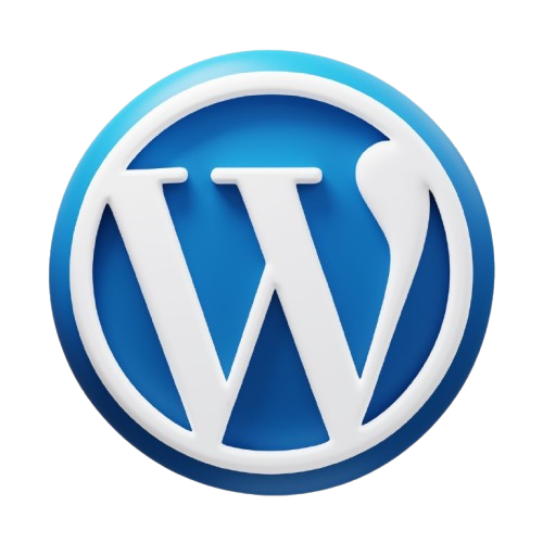 Digital Marketing Consultant in Meerut
