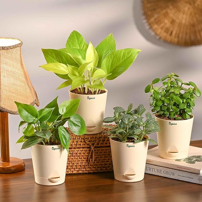 π± Mini Indoor Plant Pot